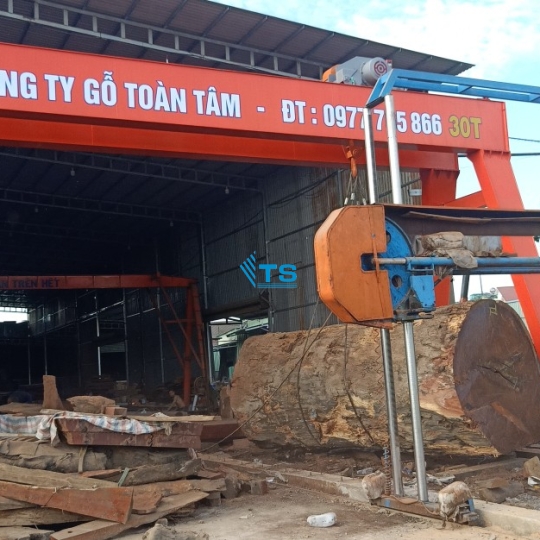 Cổng trục chữ A 30 tấn